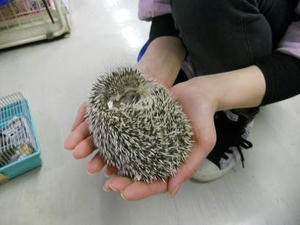 DSCN6496.JPG