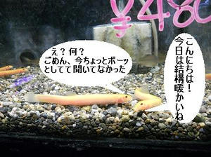DSCN6514.JPG