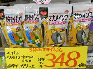 DSCN6511.JPG