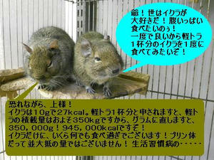 DSCN6520.JPG
