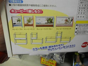 DSCN6527.JPG