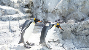 DSC00591.JPG