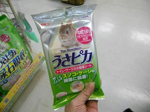 DSCN6533.JPG