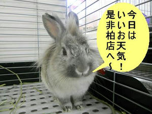 DSCN6539.JPG