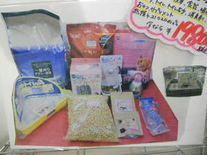 DSCN6538.JPG