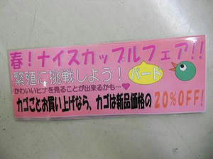 DSCN6536.JPG