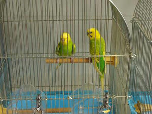 P3050001.JPG