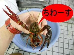DSCN6554.JPG