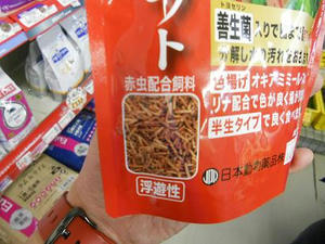 DSCN6572.JPG