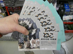 DSCN6577.JPG