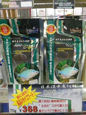 DSCN6598.JPG