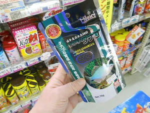 DSCN6599.JPG