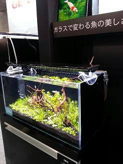 20130328_122108.jpg
