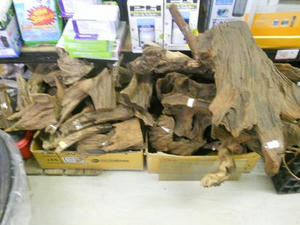 DSCN6603.JPG