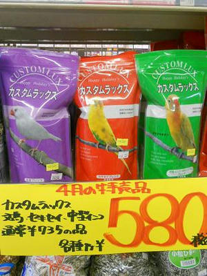 DSCN6616.JPG