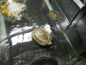 DSCN6653.JPG