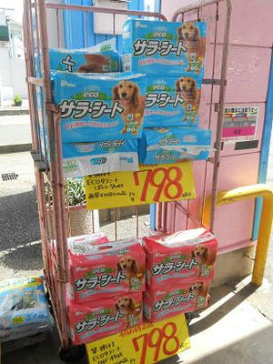 DSCN6661.JPG