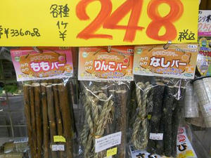 DSCN6703.JPG