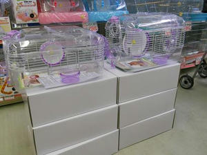 DSCN6755.JPG