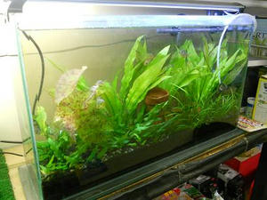 DSCN6758.JPG