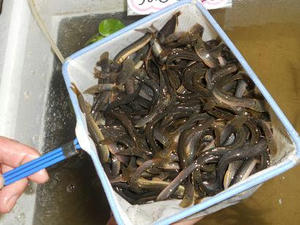 DSCN6757.JPG