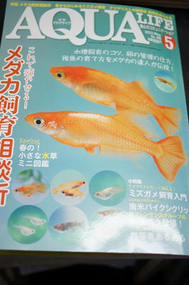 DSC00930.JPG