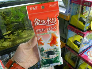 DSCN6796.JPG