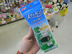 DSCN6797.JPG