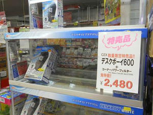 DSCN6800.JPG