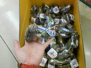 DSCN6803.JPG