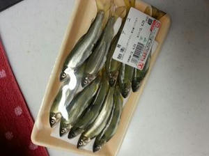 20130423_174750.jpg