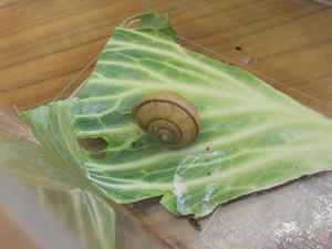 DSCN6821.JPG