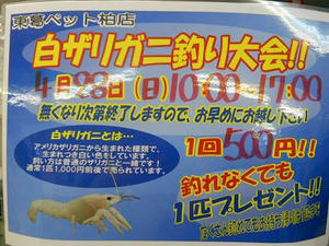 DSCN6836.JPG