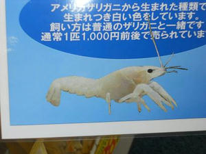 DSCN6837.JPG