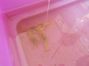 DSCN6838.JPG