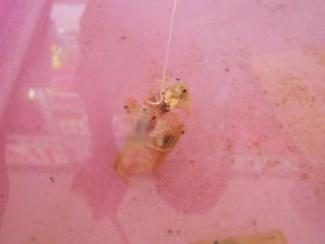 DSCN6839.JPG