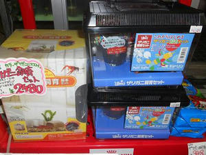 DSCN6844.JPG