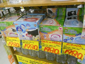 DSCN6846.JPG