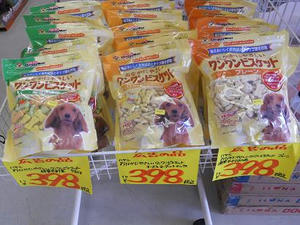 DSCN6853.JPG