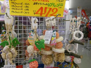 DSCN6855.JPG