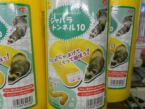 DSCN6858.JPG
