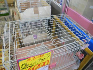 DSCN6867.JPG