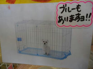 DSCN6868.JPG