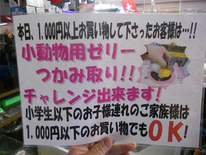 DSCN6862.JPG