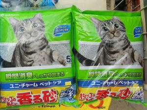DSCN6879.JPG