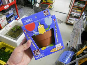 DSCN6882.JPG