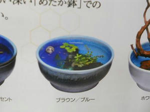 DSCN6884.JPG