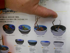 DSCN6883.JPG