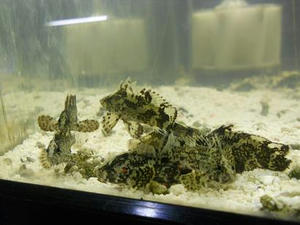 DSCN6889.JPG