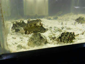 DSCN6890.JPG